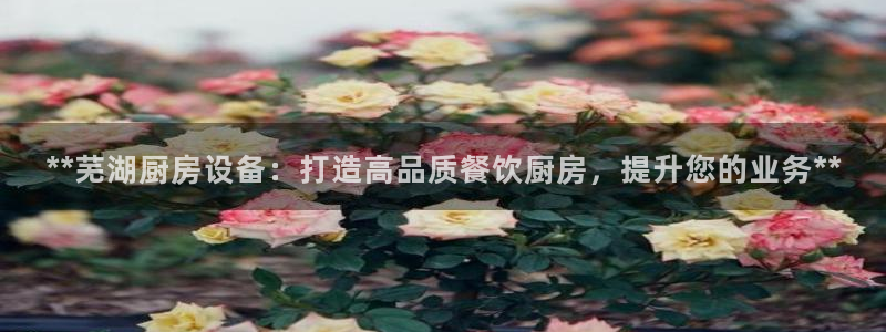 z6com尊龙凯时百家乐