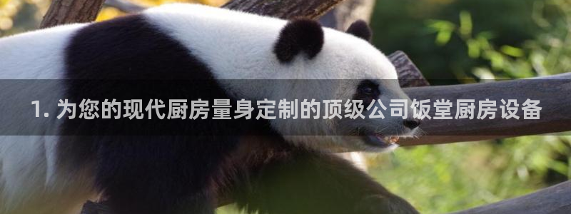 尊龙游戏官网：1. 为您的现代厨房量身定制的顶级公司饭堂厨房
