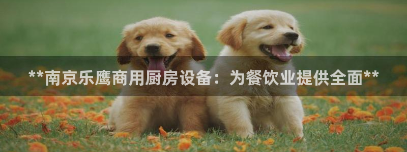 尊龙登录首页：**南京乐