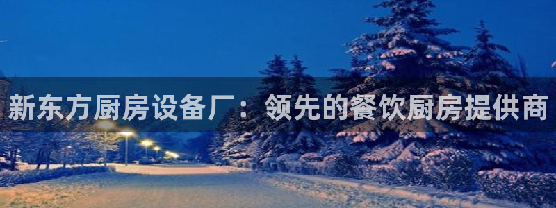 尊龙凯时取款不成功：新东