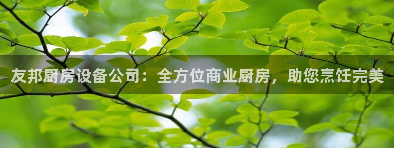 尊龙专访：友邦厨房设备公司：全方位商业厨房，助您烹饪完美