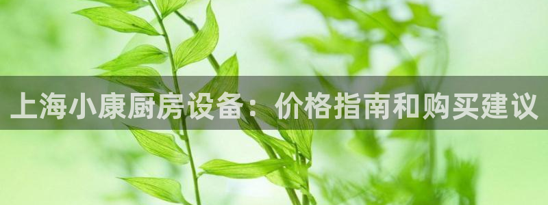 凯时kb88会员登录：上