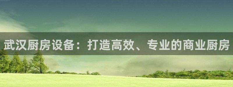 尊龙凯时人生就是博·(中国)官网最新：武汉厨房设备：打造高效