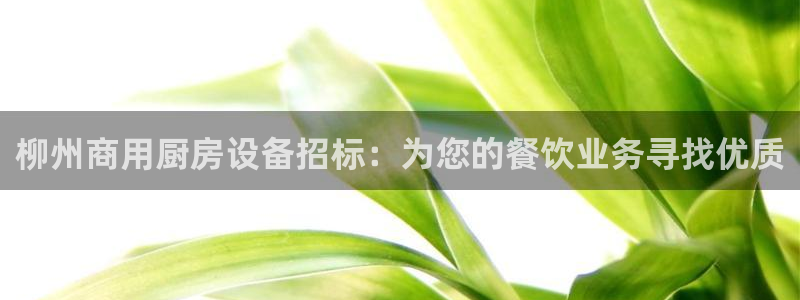 下载尊龙：柳州商用厨房设