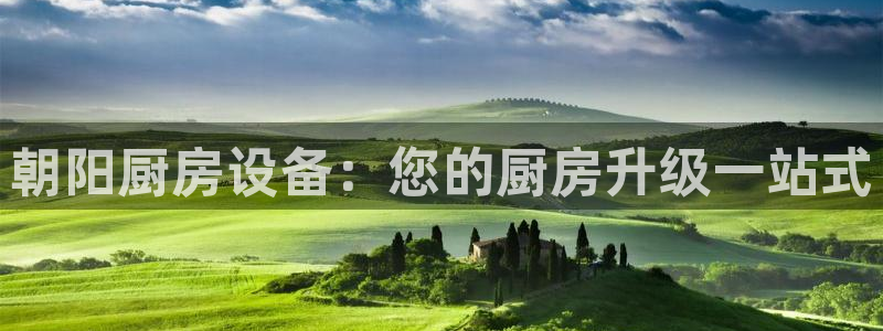 尊龙凯时人生就是搏·(中国)官网：朝阳厨房设备：您的厨房升级