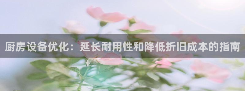尊龙凯时提现不了：厨房设备优化：延长耐用性和降低折旧成本的指