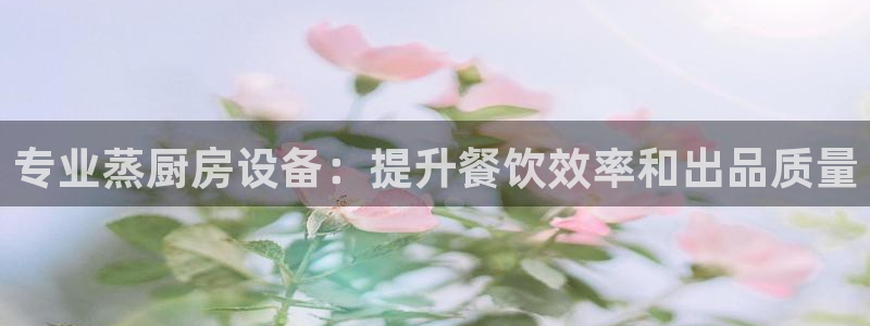 尊龙凯时的钱能退回来吗：专业蒸厨房设备：提升餐饮效率和出品质