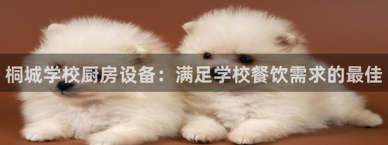 尊龙d88官网登录：桐城学校厨房设备：满足学校餐饮需求的最佳