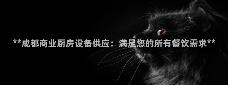 ag旗舰平台尊龙代言：**成都商业厨房设备供应：满足您的所有