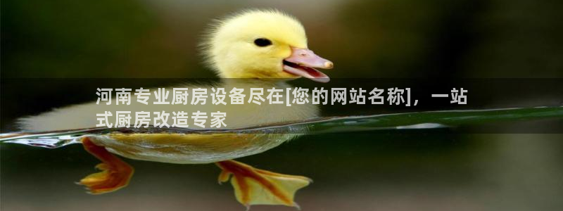 尊龙官网手机版：河南专业