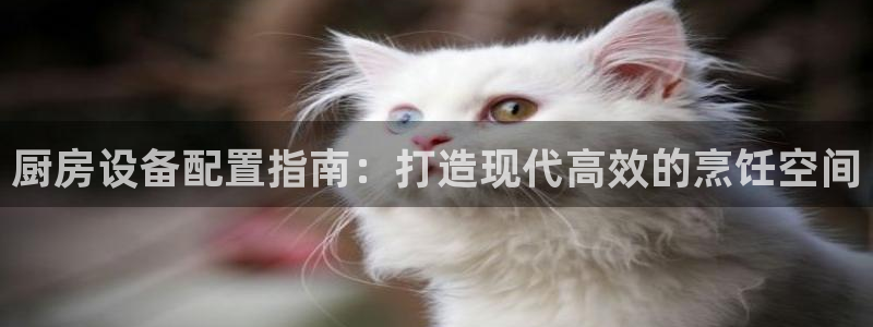 尊龙z6官网：厨房设备配置指南：打造现代高效的烹饪空间