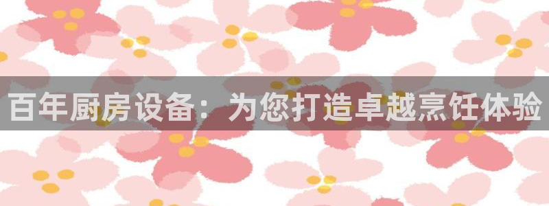 尊龙凯时ag旗舰厅登陆：百年厨房设备：为您打造卓越烹饪体验