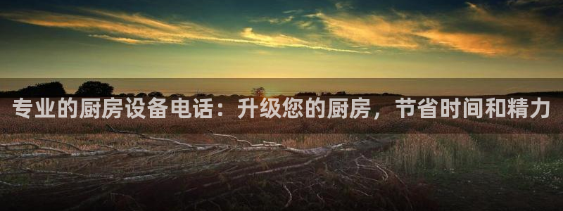 凯时平台app：专业的厨