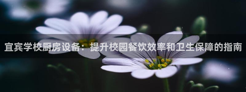 尊龙凯时app安装：宜宾
