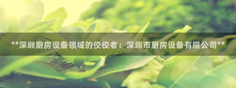 z6com尊龙：**深圳
