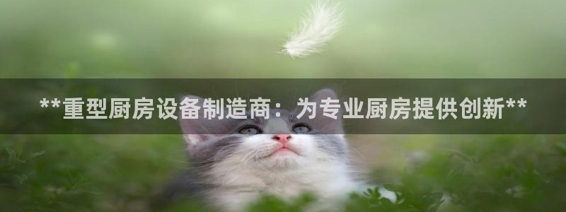 尊龙官方：**重型厨房设