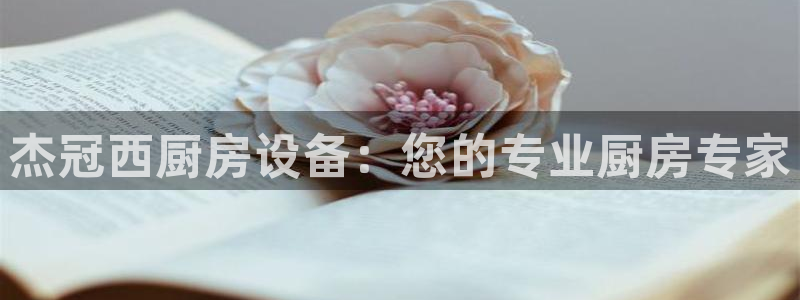 尊龙游戏官方网：杰冠西厨房设备：您的专业厨房专家