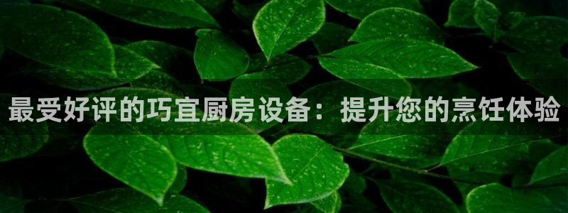 尊龙网站 人生就是博：最