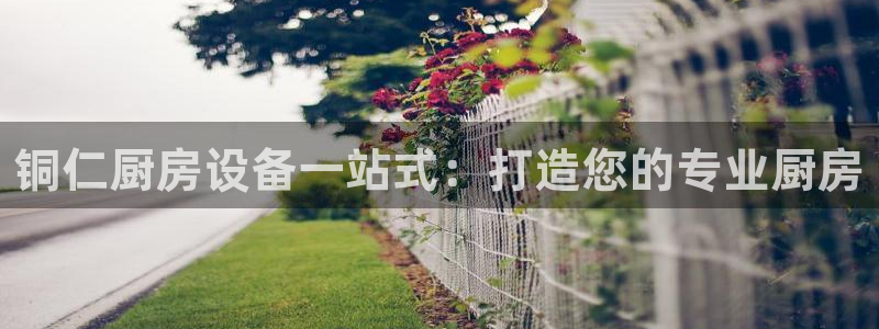 尊龙游戏中心：铜仁厨房设备一站式：打造您