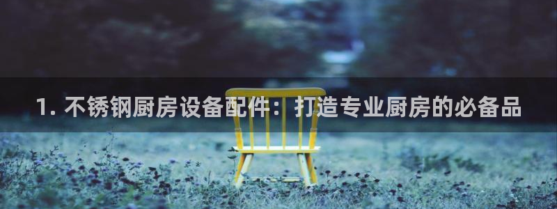 尊龙凯时官方网站下载：1. 不锈钢厨房设备配件：打造专业厨房