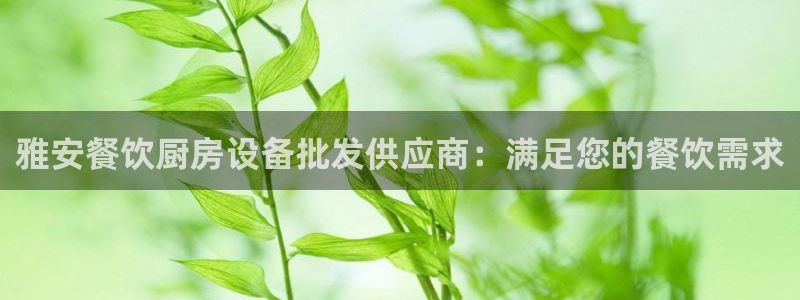 AG尊龙注册在线游戏：雅安餐饮厨房设备批发供应商：满足您的餐