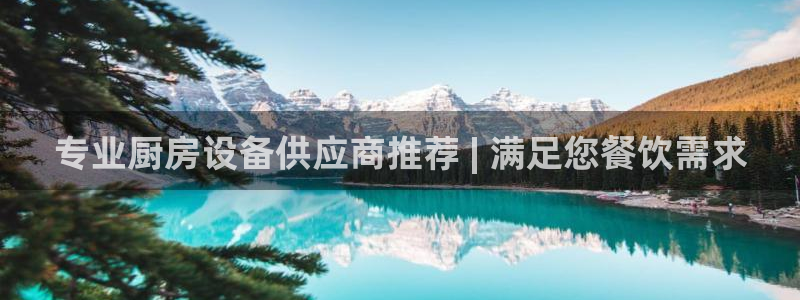 尊龙AG旗舰厅APP：专业厨房设备供应商推荐 | 满足您餐饮