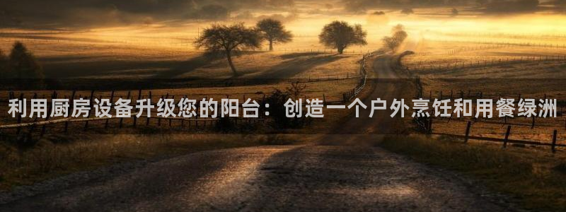 尊龙官网下载：利用厨房设备升级您的阳台：创造一个户外烹饪和用