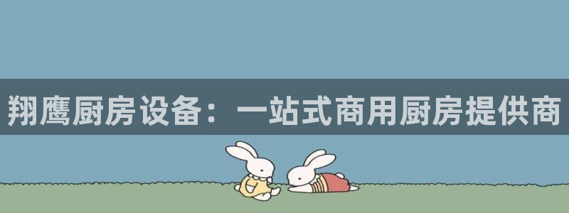 尊龙官方网址：翔鹰厨房设备：一站式商用厨房提供商