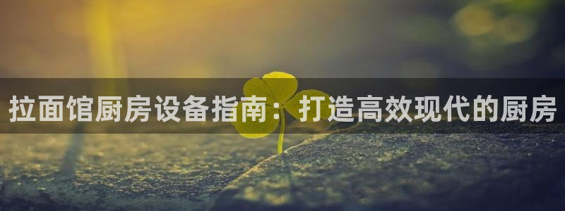 尊龙公司：拉面馆厨房设备指南：打造高效现代的厨房