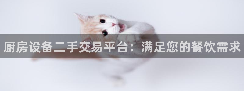 尊龙凯时合法吗?：厨房设备二手交易平台：满足您的餐饮需求