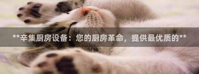 尊龙凯时的钱能退回来吗：**辛集厨房设备：您的厨房革命，提供
