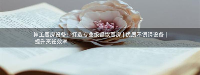 ag尊龙凯时集团：神工厨房设备：打造专业