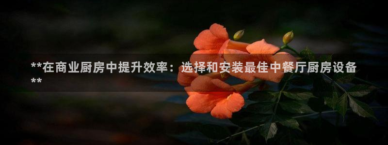 尊龙凯时用户名m：**在商业厨房中提升效率：选择和安装最佳中