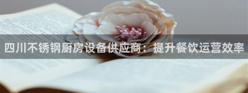 凯时kb88会员登录：四川不锈钢厨房设备供应商：提升餐饮运营