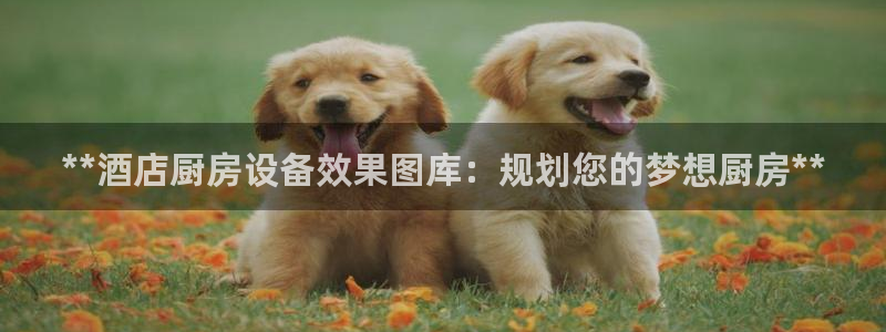 尊龙d88手机app免费下载：**酒店厨