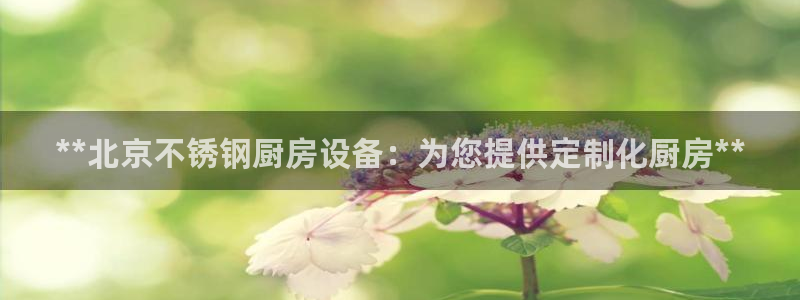 国际凯时ag优质运营商：**北京不锈钢厨房设备：为您提供定制