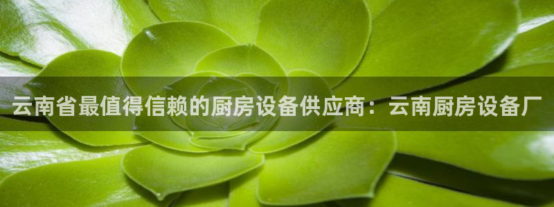 尊龙凯时官网网页版：云南省最值得信赖的厨房设备供应商：云南厨