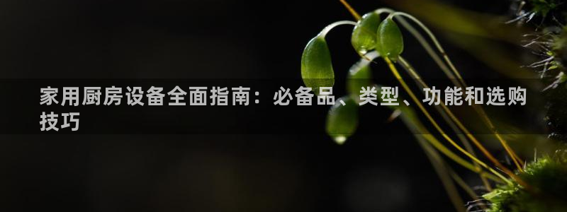 尊龙官网手机版下载：家用厨房设备全面指南