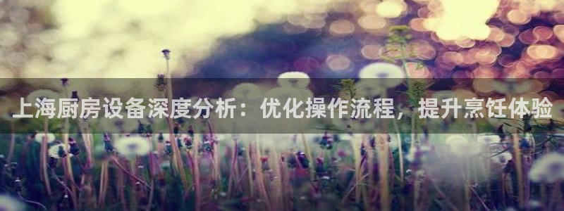 尊龙凯时登陆：上海厨房设