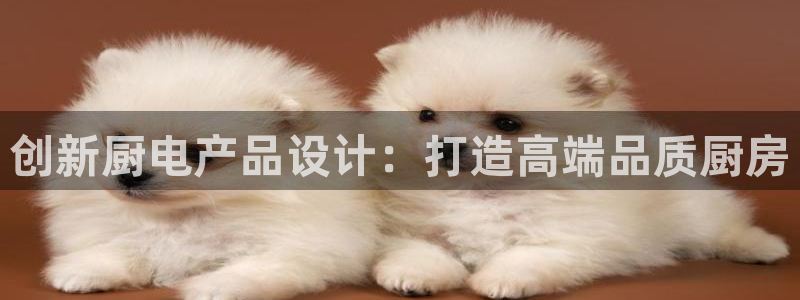 尊龙人生就是博网站