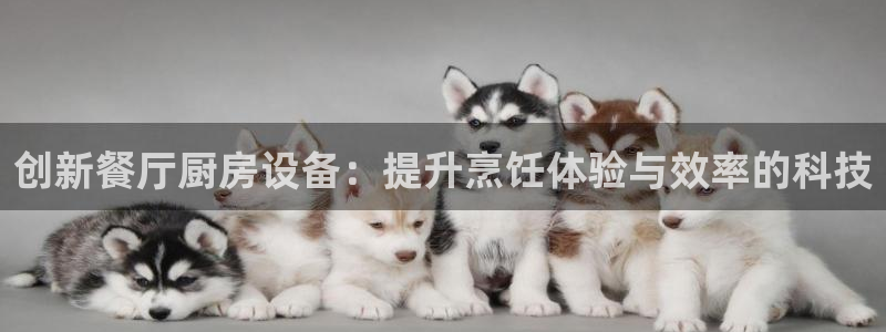 尊龙ag旗舰